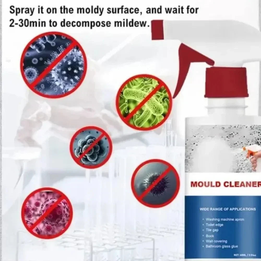 MoldMaster Wall Joint Foam - Household Mold Remover for Effortless Cleanup